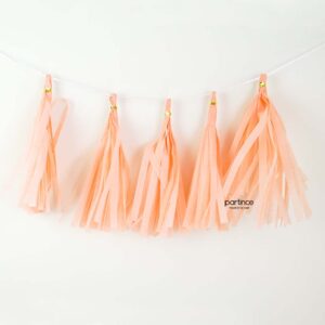 Tassel Kağıt Püskül Somon (Kendin yap)