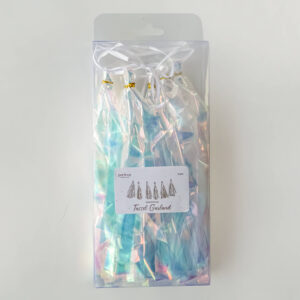 6'lı Sade Holografik Püskül Zinciri (Hazır – Kutulu)