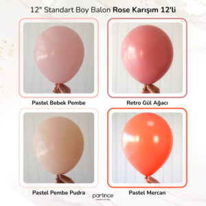 12" Standart Boy Rose Karışım 12'li