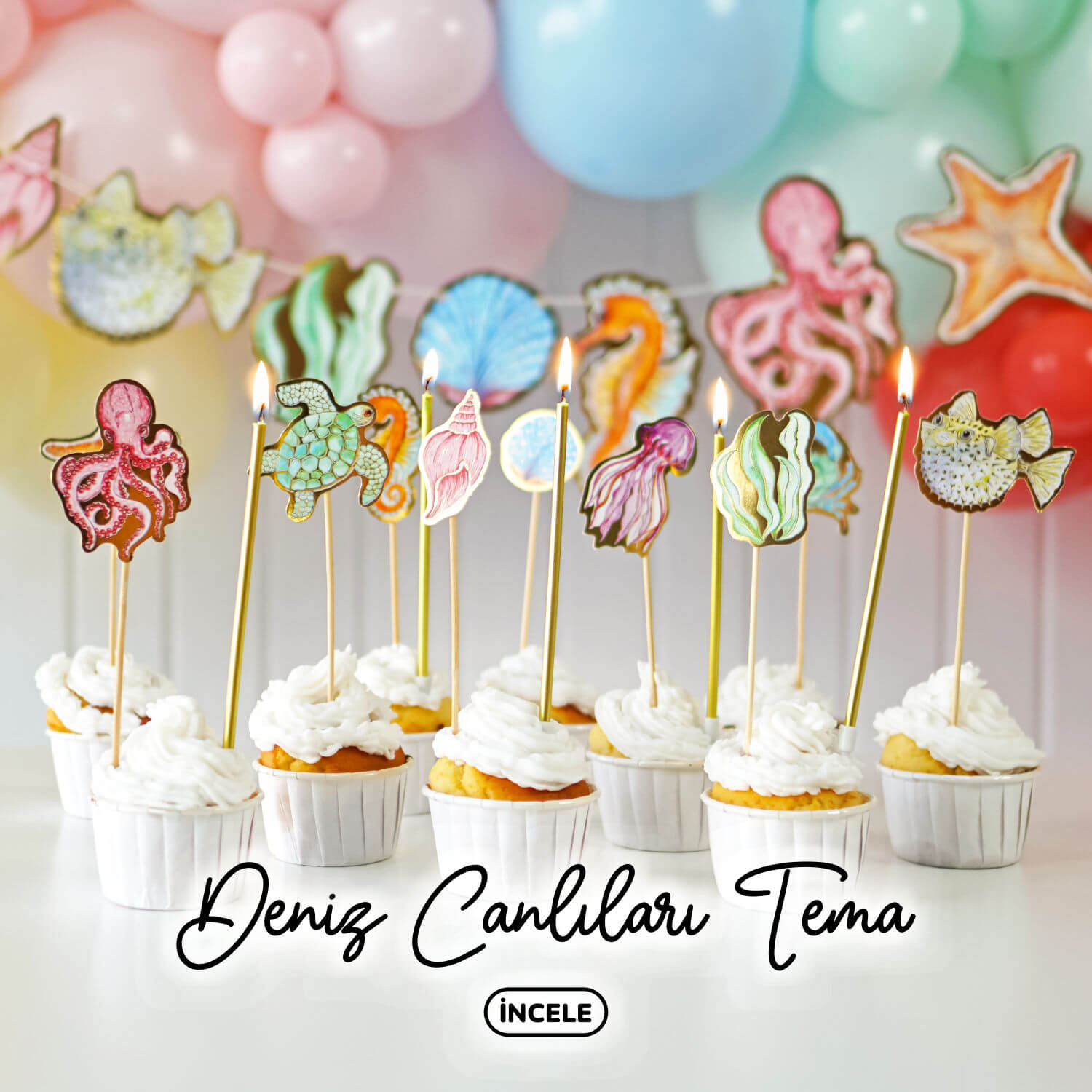 Partince Doğum Günü Koleksiyonu