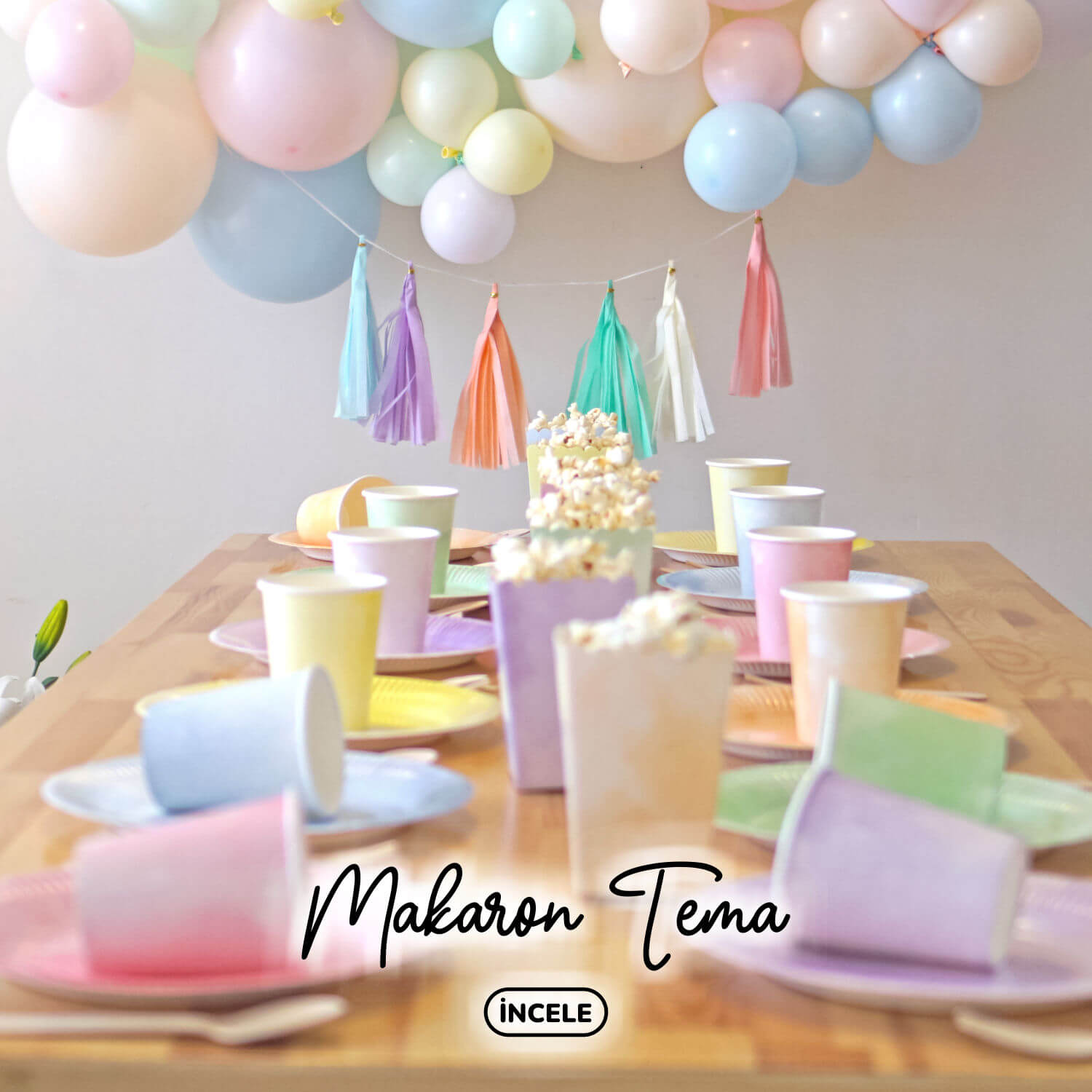 Partince Doğum Günü Koleksiyonu