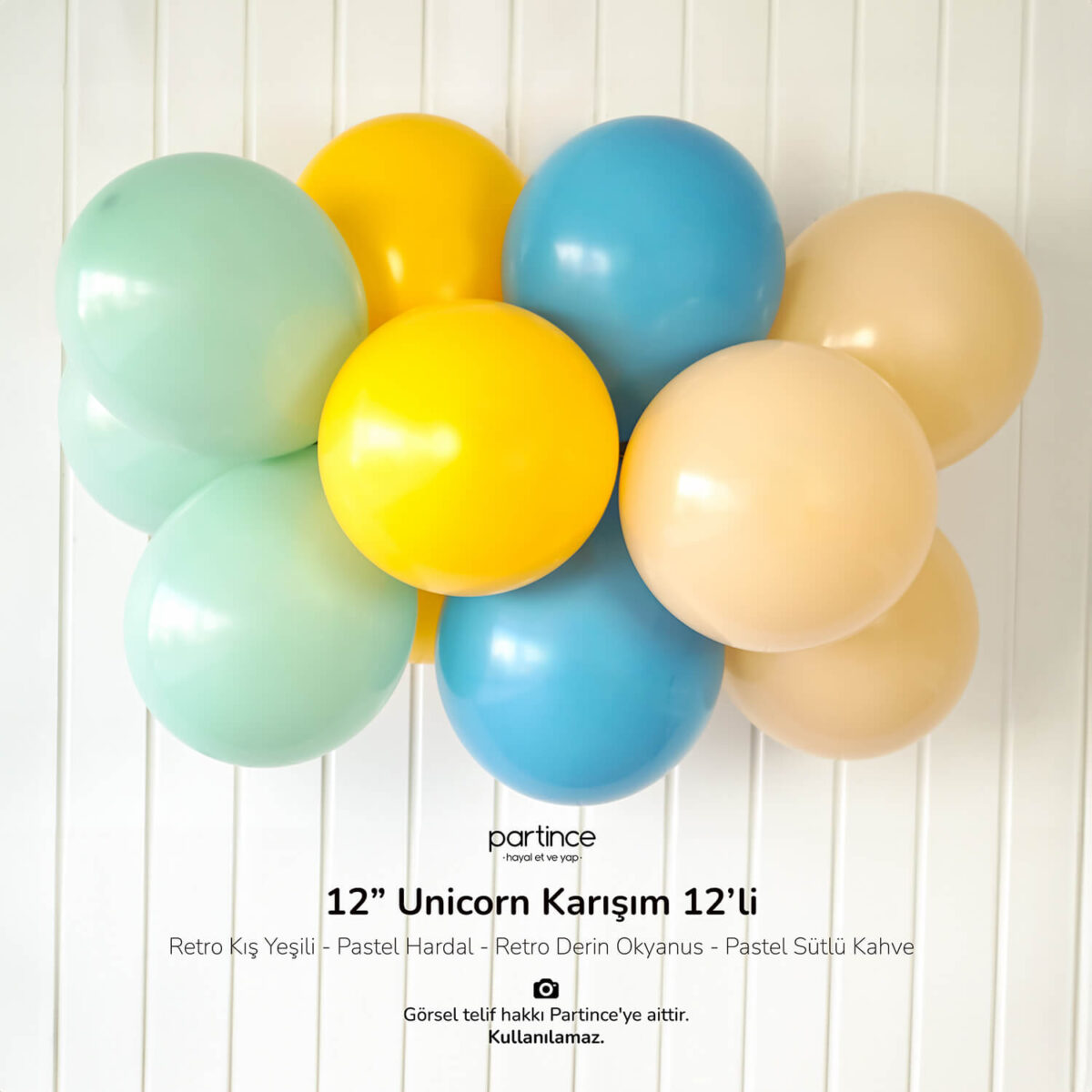 12" Standart Boy Vintage Retro Karışım 12'li - Görsel 3